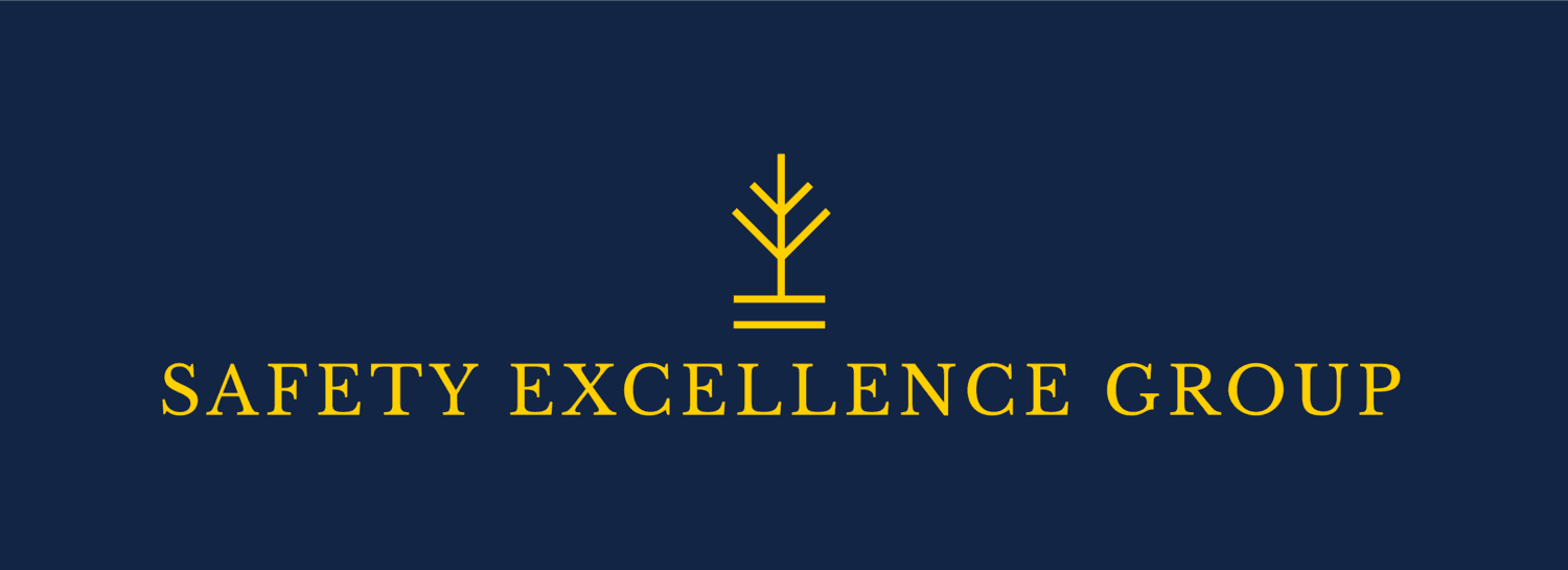 Safety Excellence Group